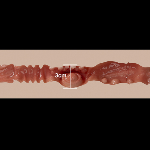 3,0 cm