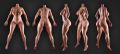 Picture of Sophia 159 cm / G Cup / Silicone Realistic Sex Doll