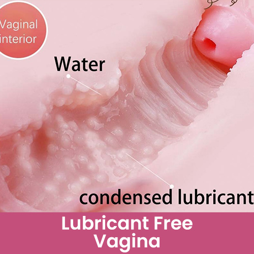 Lubricant free vagina [+€45]