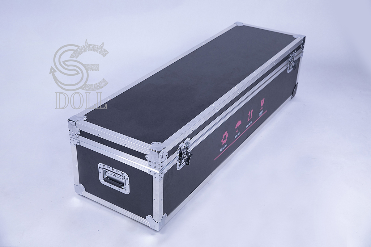 Flight case [+€150]