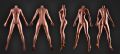 Picture of Naomi 167 cm / C Cup / Silicone Realistic Sex Doll