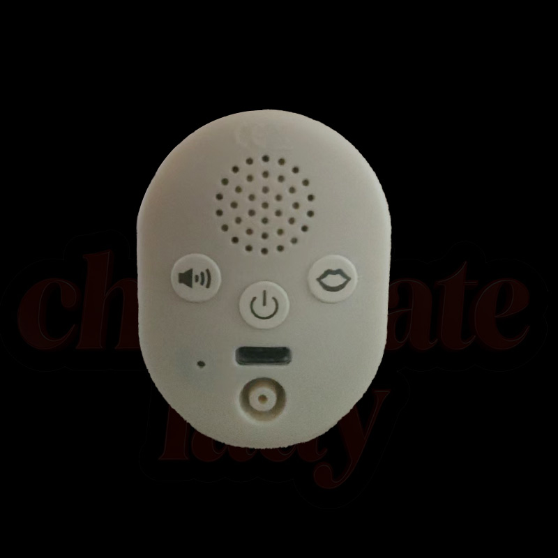 AI Voice communicator [+€150]