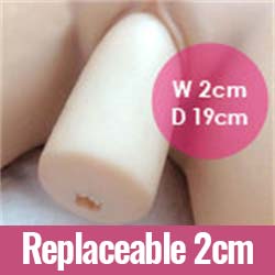Repllaceable vagina