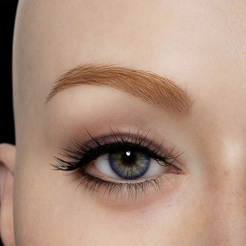 Golden eyebrows