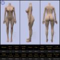 Normal silicone body